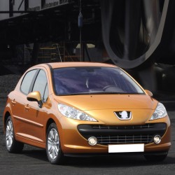 Peugeot 207 2006-2014 Cam Suyu Deposunun Kapağı Fiskiye Kapak-bisra