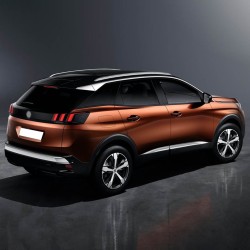 Peugeot 3008 2017-2020 Arka Bagaj Kapak Amortisörü 1 Ad. 9841148880