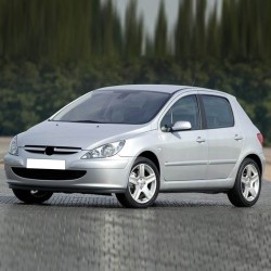 Peugeot 307 2001-2004 Sağ Ön Yolcu Güneşlik Gri 8143HL