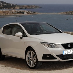 Seat İbiza 2009-2017 Ön Cam Silecek Kolu Vida Kapağı 1J0955205A-bisra