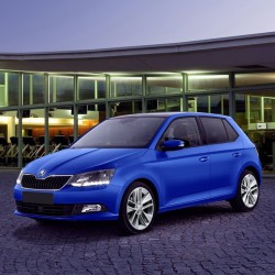 Skoda Fabia 2015-2021 Tekerlek Bijon Kapağı Siyah 5 adet 1Z0601173-bisra