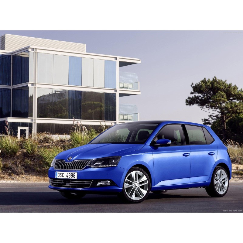 Skoda Fabia 3 2015-2022 El Freni Kolu İndirme Düğmesi Gri 6R0711333C-bisra