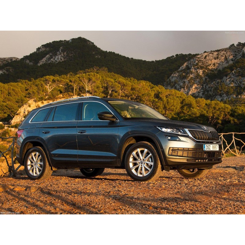 Skoda Kodiaq 2017-2023 Sağ Ön Dış Kapı Kolu Kapağı 5G0839168D-bisra