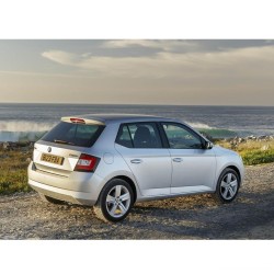 Skoda Fabia MK3 2015-2022 Bagaj Panzot Pandizot Askı Pimi 1M6867574A-bisra