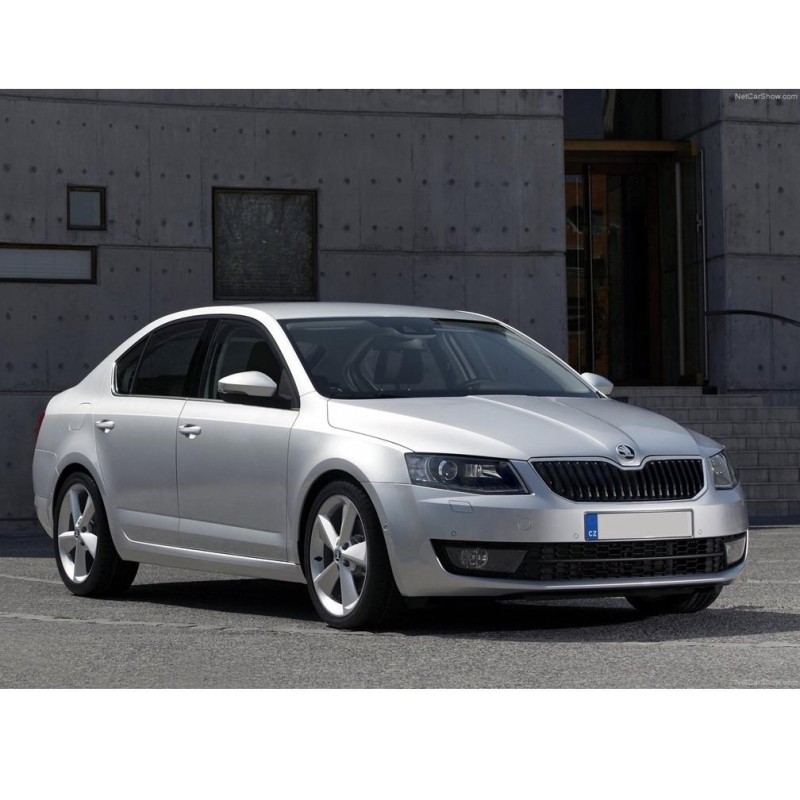 Skoda Octavia 3 2013-2020 Sağ Arka Dış Kapı Kolu Kapağı 5G0839168-bisra