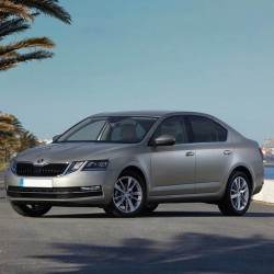 Skoda Octavia 3 2017-2020 Benzinli Motor Alt Muhafaza Plastiği - OEM 3Q0825235A