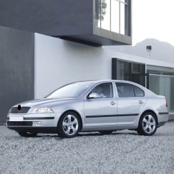 Skoda Octavia A5 2005-08 Ön Viraj Demir Lastiği Seti 23mm 1K0411303AM