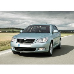 Skoda Octavia 2 A6 2009-2012 Tavan Radyo Anteni Çubuğu Kısa 6R0035849-bisra